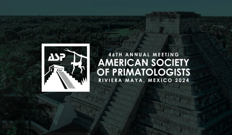 Logo of American Society of Primatologists with pyramid background, meeting in Riviera Maya, Mexico 2024.