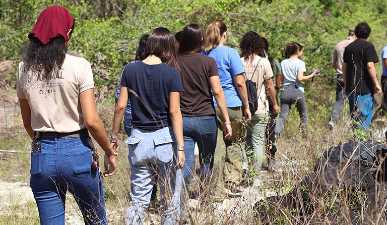 Group of people walking in a line on a path through tall grass and shrubs.