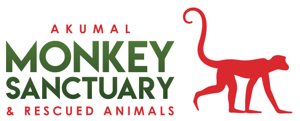 Akumal Monkey Sanctuary & Rescued Animals