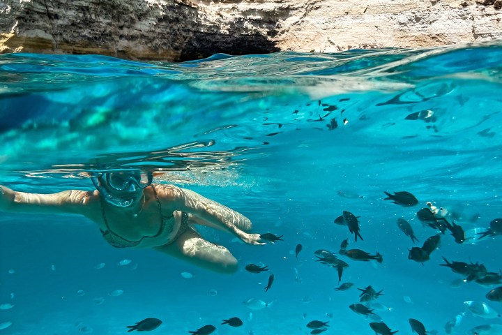 Person snorkeling in clear blue water with fish, rocky cliffs in background.