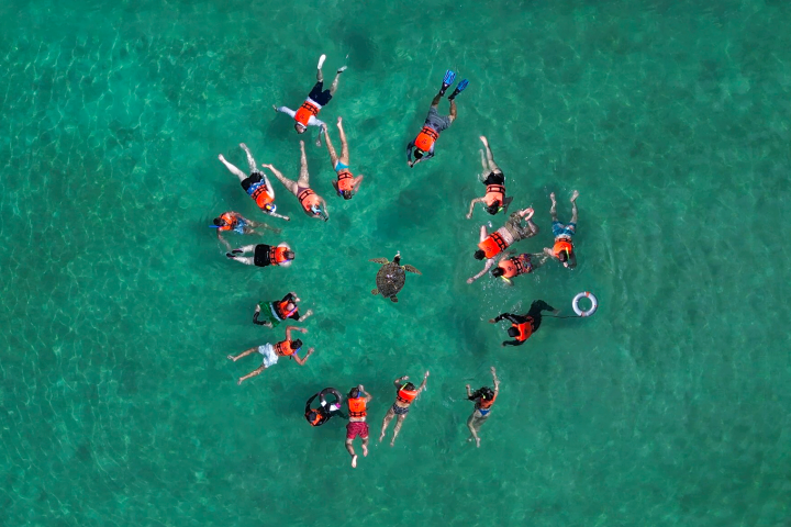 People in life jackets snorkeling around a turtle in clear blue water.