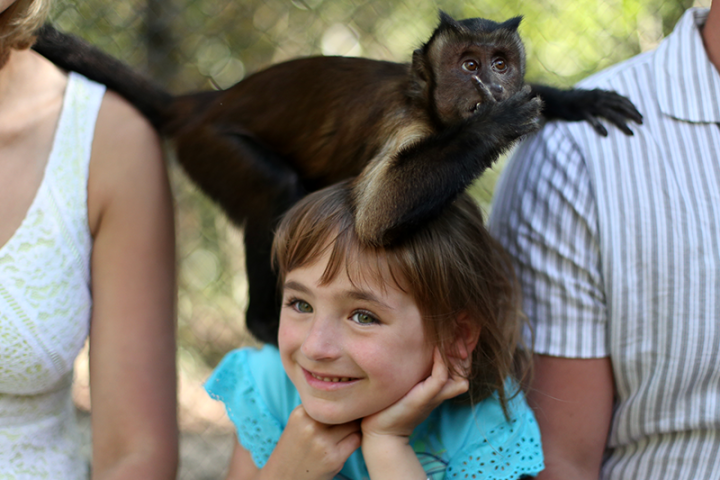 Child with a cheerful expression, a monkey on their head, surrounded by adults.
