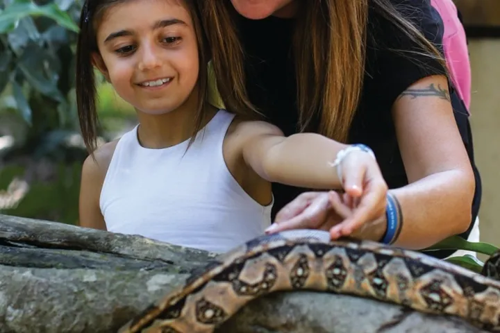 Child and adult touch a snake on a tree branch in a lush setting.