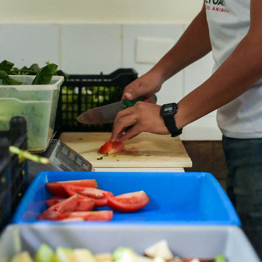 Person chopping tomatoes on a cutting board in a kitchen.