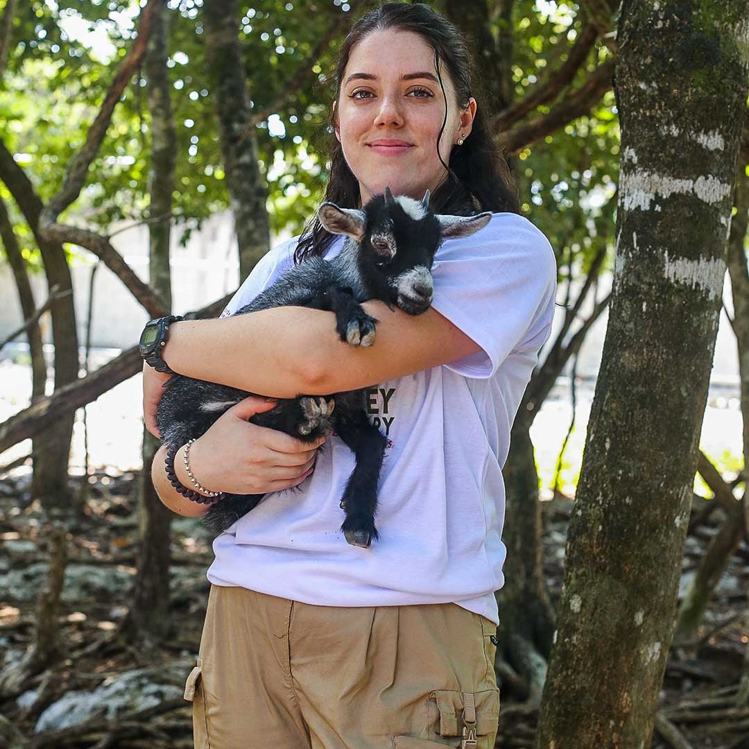 Person holding a small goat in a forested area.