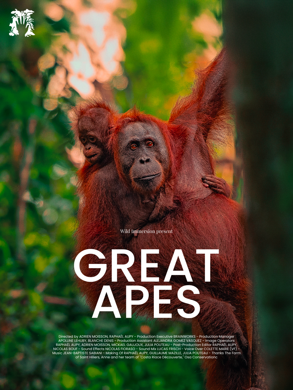 imgi_30_EN-GREAT-APES