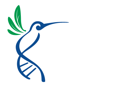 Logo of Instituto de Ecología featuring a hummingbird with DNA strand design.