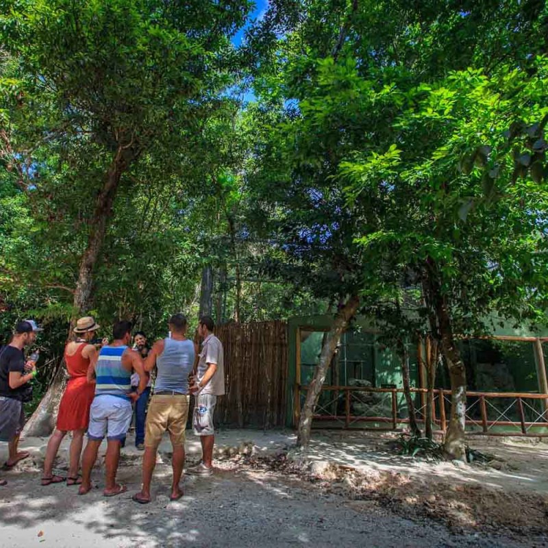 Group of people gathered in a wooded area near a wooden fence.