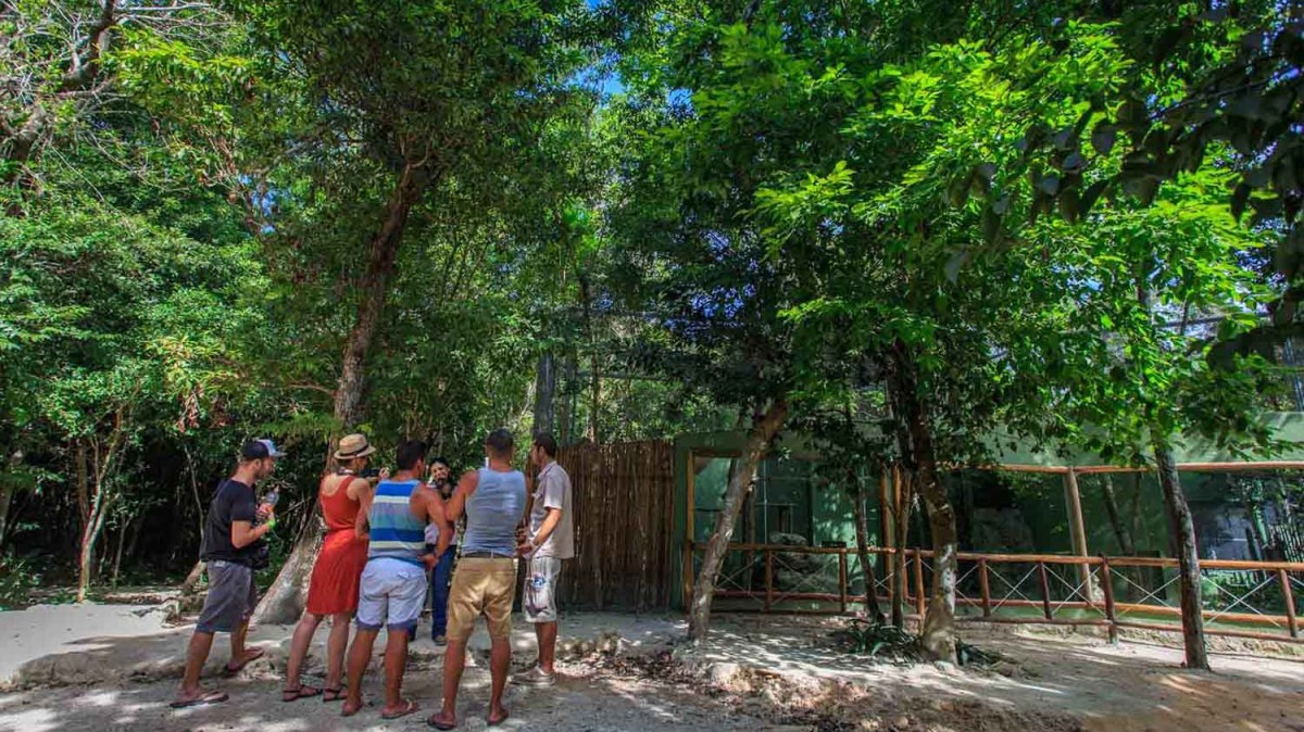 Group of people gathered in a wooded area near a wooden fence.