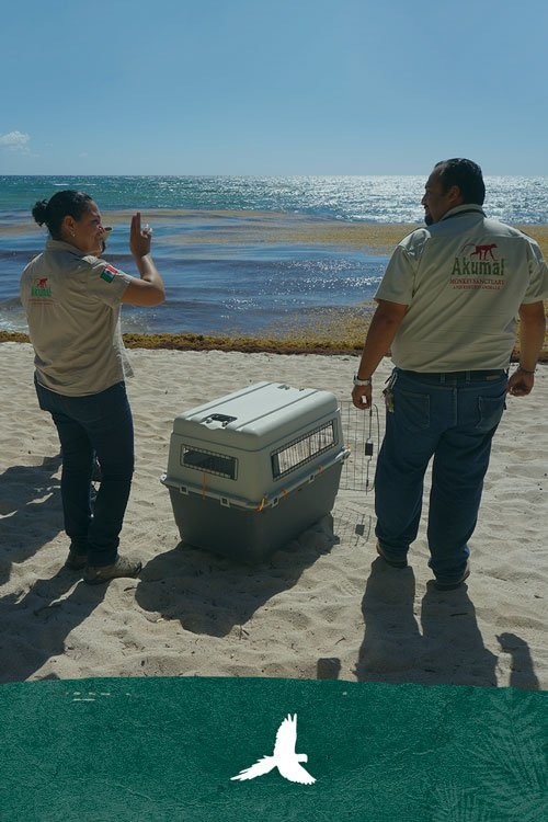 Two people on a beach with a pet carrier and ocean view.