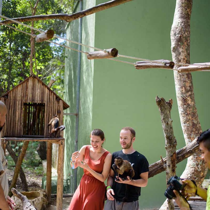 People interacting with a monkey in an outdoor animal enclosure with trees and a wooden hut.