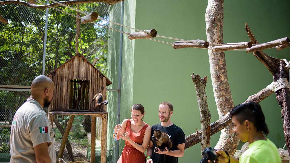 People interacting with a monkey in an outdoor animal enclosure with trees and a wooden hut.