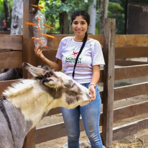 Person with braided hair feeding a donkey in an enclosure at an animal sanctuary.