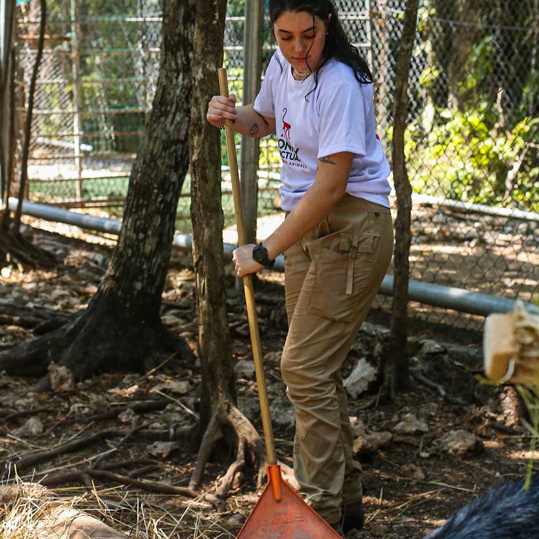 Person raking leaves on a dirt path near a fenced area with trees.